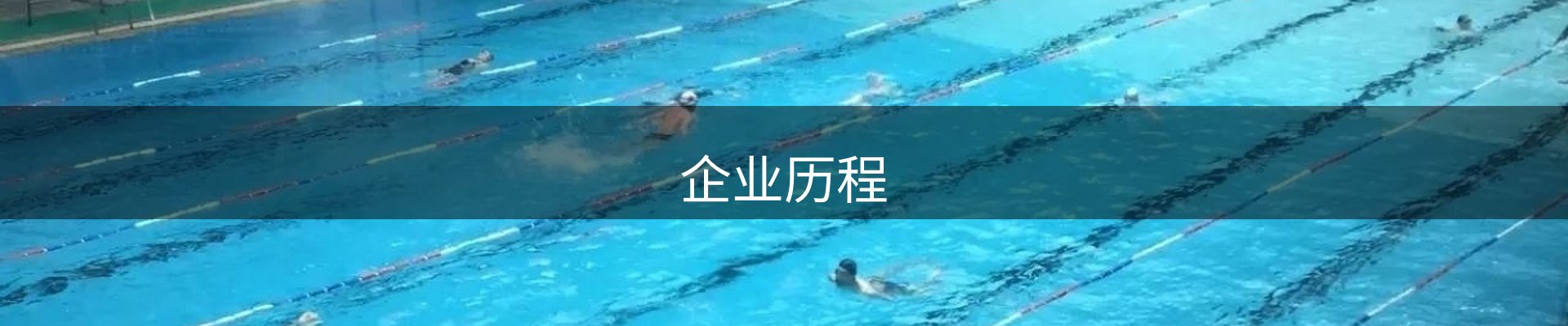 企业历程