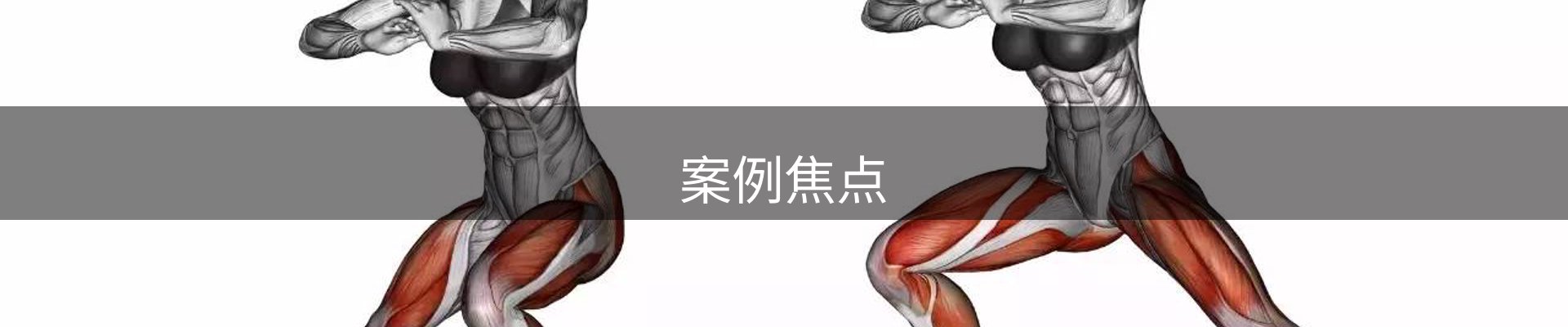 案例焦点