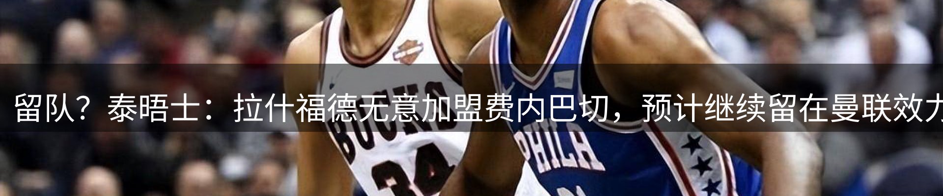 公司简报